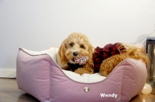 Wendy5