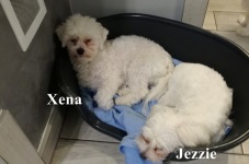 Xena i Jezzie