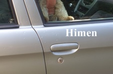 Himen9