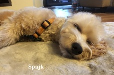 Spajk2